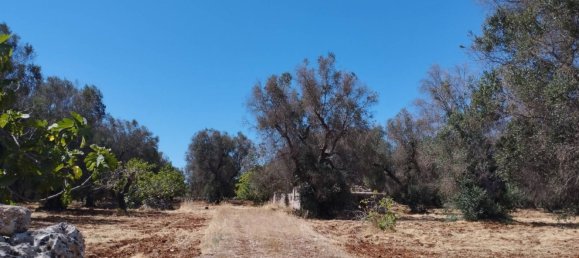 Casa de 3 habitaciónes en Francavilla Fontana, Italy No. 262474 9