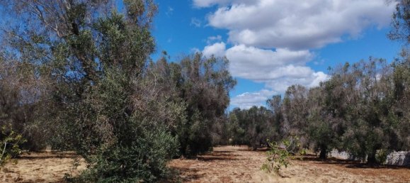 Casa de 3 habitaciónes en Francavilla Fontana, Italy No. 262474 7