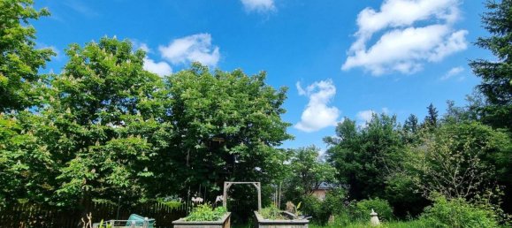 8غرفة منزل في Wolfsgraben, Austria رقم 253276 35