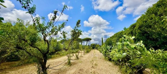 7-Zimmer Haus in Grosseto, Italy, Nr. 273686 32