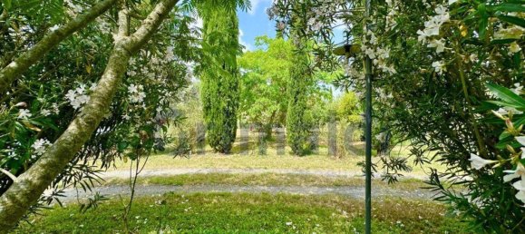 7-Zimmer Haus in Grosseto, Italy, Nr. 273686 39