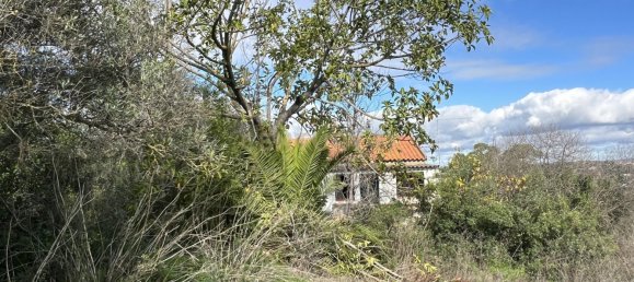 Terreno de 3 dormitorios en Ferreiras, Portugal No. 105133 6