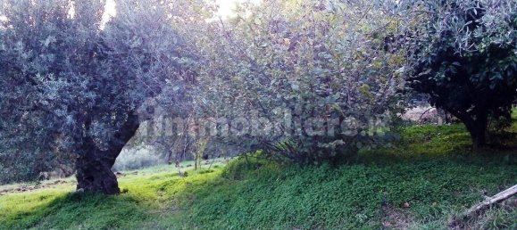 4 bedrooms Villa in Lattarico, Italy No. 166100 15