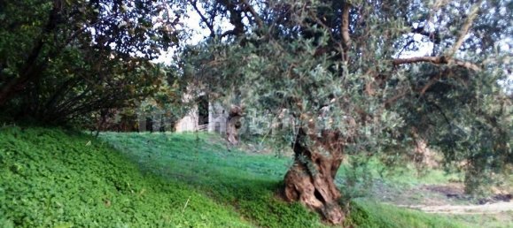 4 bedrooms Villa in Lattarico, Italy No. 166100 16