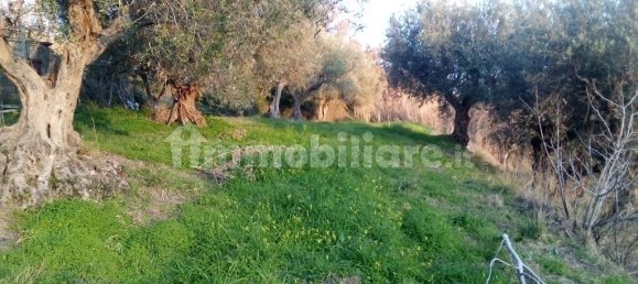 4 bedrooms Villa in Lattarico, Italy No. 166100 14