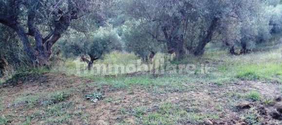 4 bedrooms Villa in Lattarico, Italy No. 166100 13