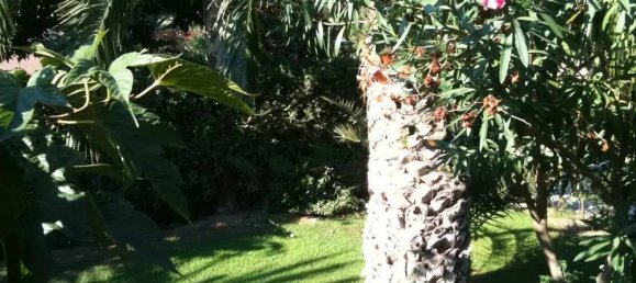 4-Zimmer Villa in Fano, Italy, Nr. 115296 7