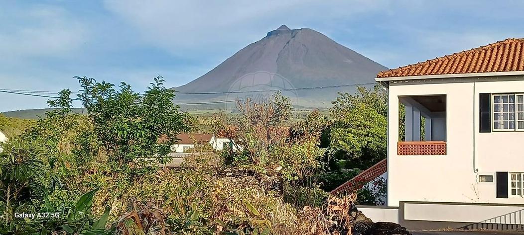  Land in Madalena, Portugal No. 202191