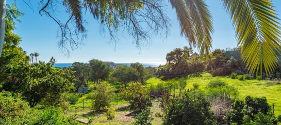 5 Schlafzimmer Villa in La Quinta, Spain, Nr. 147384 32