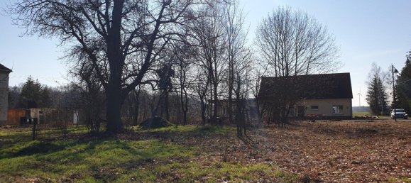  Land in Oberspreewald-Lausitz, Germany No. 244636 4