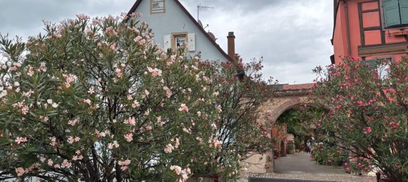 4 Schlafzimmer Haus in Turckheim, France, Nr. 279659 2