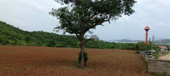  Land in Sattahip, Thailand No. 70018 2