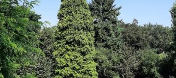 3 rooms Apartment in L'Horme, France No. 290630 4