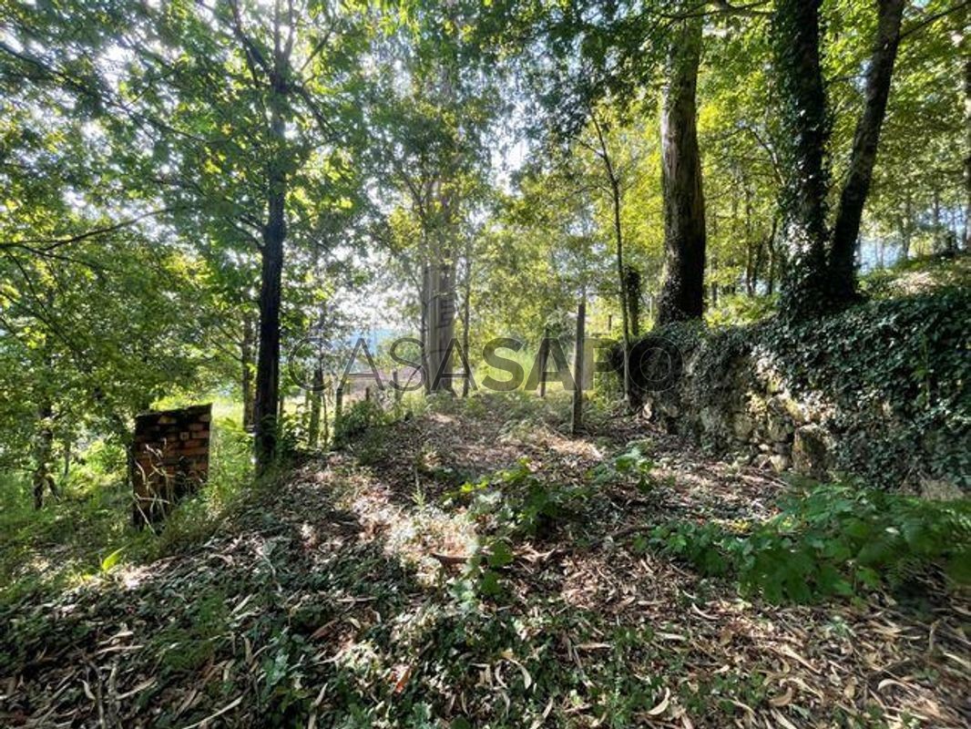 2 chambres Maison à Arcos de Valdevez, Portugal No. 221840