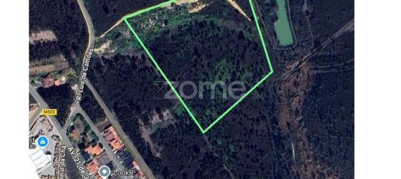 40000m² Land in Caxarias, Portugal No. 148839 22