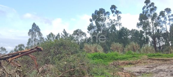 40000m² Land in Caxarias, Portugal No. 148839 13