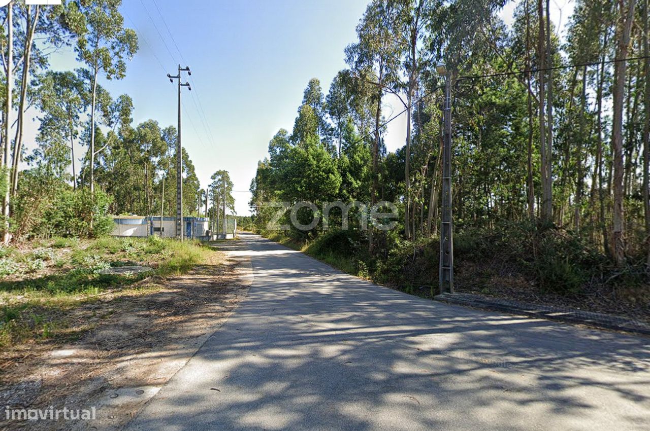 40000m² Land in Caxarias, Portugal No. 148839