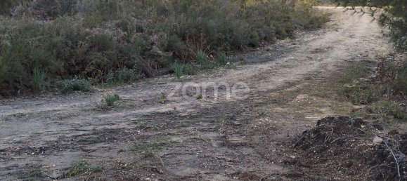 40000m² Land in Caxarias, Portugal No. 148839 17