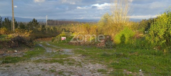 40000m² Land in Caxarias, Portugal No. 148839 21