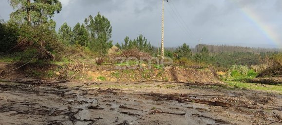 40000m² Land in Caxarias, Portugal No. 148839 25