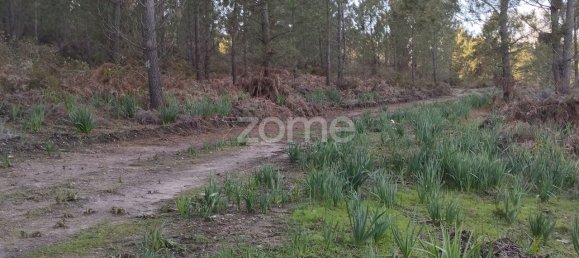 40000m² Land in Caxarias, Portugal No. 148839 18