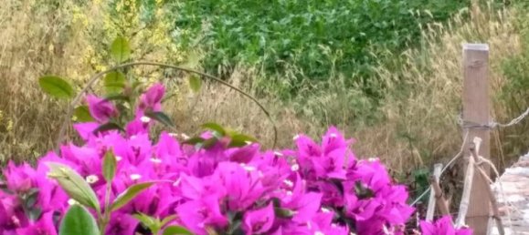 3 Schlafzimmer Gewerbliche Immobilien in Euboea, Greece, Nr. 72503 12