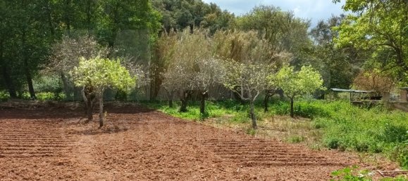 2 bedrooms House in Reliquias, Portugal No. 133947 15