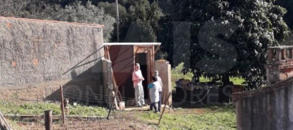 2 bedrooms House in Reliquias, Portugal No. 133947 5