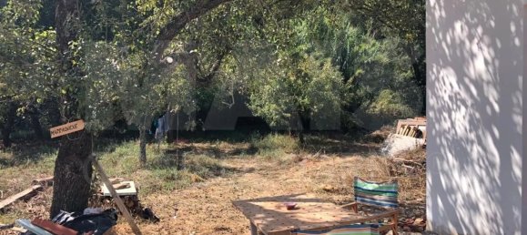 2 bedrooms House in Reliquias, Portugal No. 133947 4