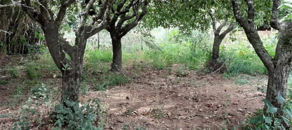 2 bedrooms House in Reliquias, Portugal No. 133947 16