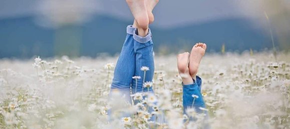  Land in Segeberg, Germany No. 291483 11