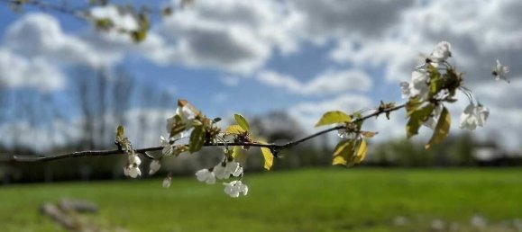  Land in Segeberg, Germany No. 291483 9