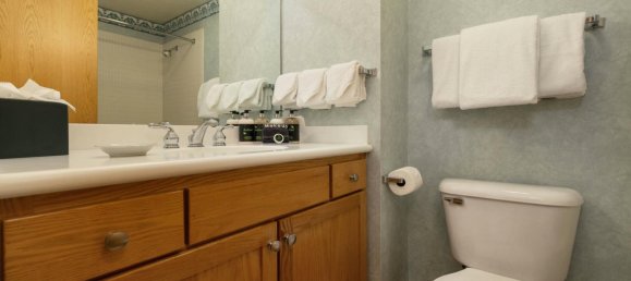 2 bedrooms Cafe / restaurant in Vail, USA No. 560245 8