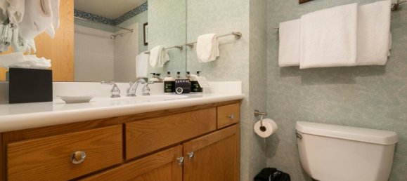 2 bedrooms Cafe / restaurant in Vail, USA No. 560245 10