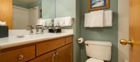 2 bedrooms Cafe / restaurant in Vail, USA No. 560245 12