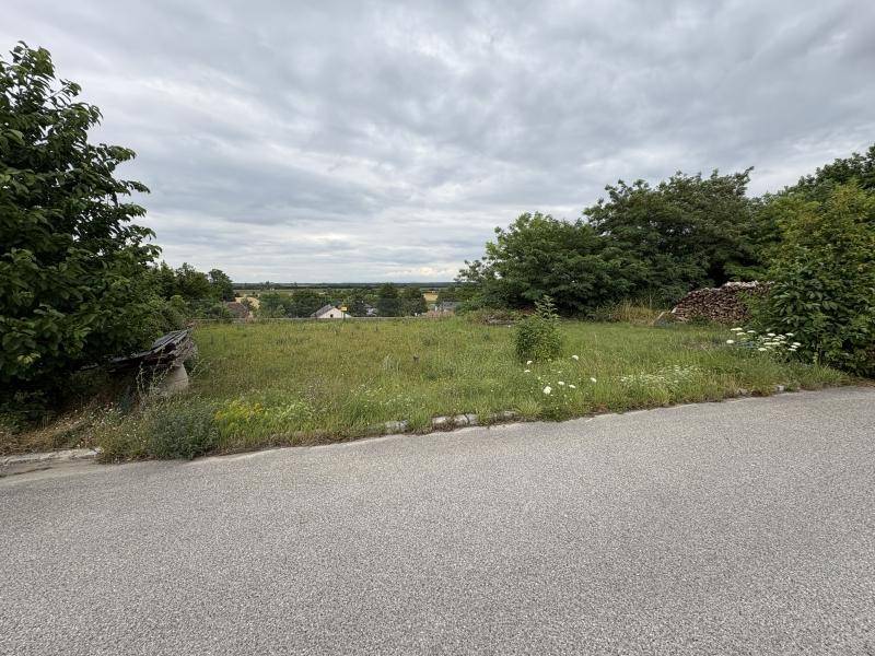2444m² Land in Ringelsdorf-Niederabsdorf, Austria No. 152561