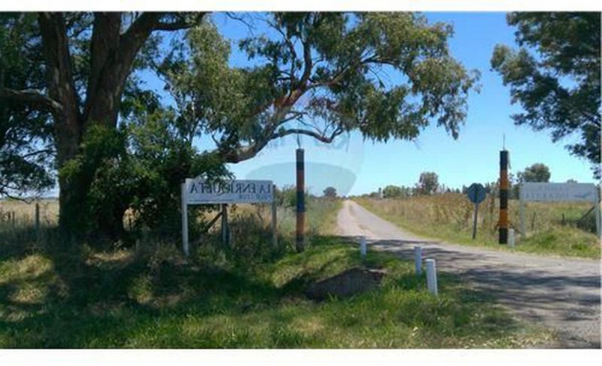  Land in Campo Creado, Argentina No. 31393