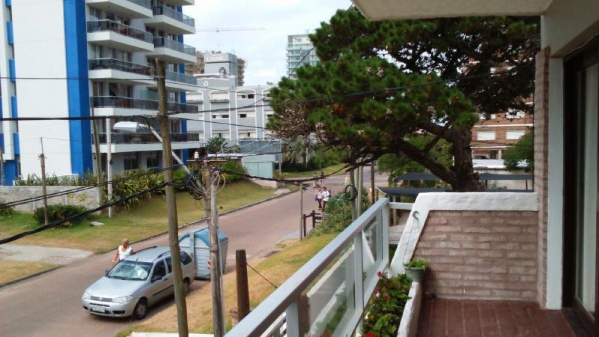 Studio in Maldonado, Uruguay No. 3984