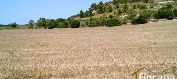 Grundstück in Manacor, Spain, Nr. 176867 8