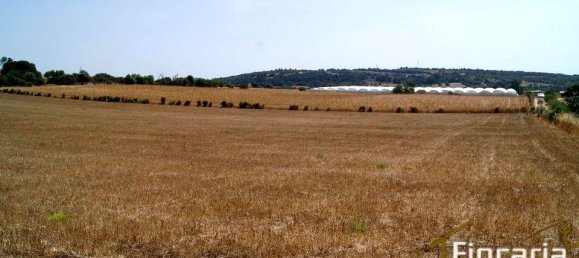 Grundstück in Manacor, Spain, Nr. 176867 23