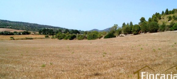 Grundstück in Manacor, Spain, Nr. 176867 13