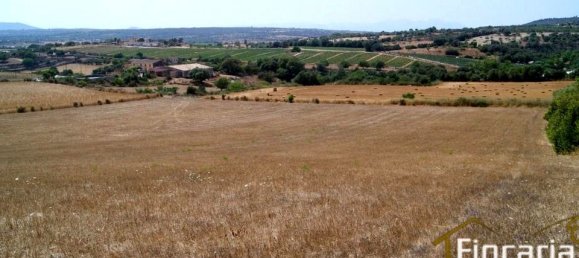 Grundstück in Manacor, Spain, Nr. 176867 9