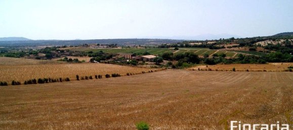 Grundstück in Manacor, Spain, Nr. 176867 17