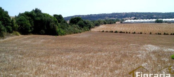 Grundstück in Manacor, Spain, Nr. 176867 21