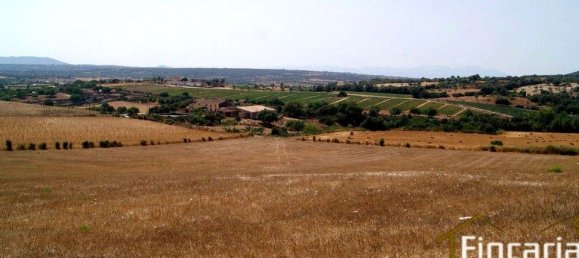 Grundstück in Manacor, Spain, Nr. 176867 19