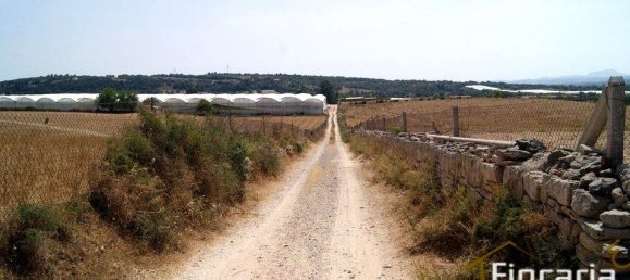 Grundstück in Manacor, Spain, Nr. 176867 26