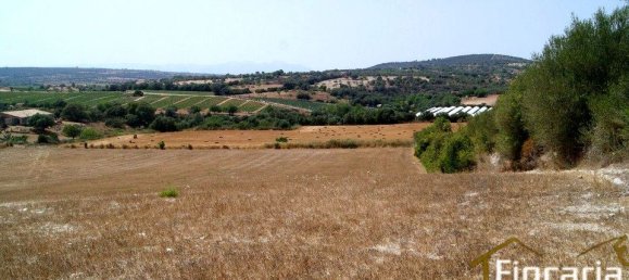 Grundstück in Manacor, Spain, Nr. 176867 20