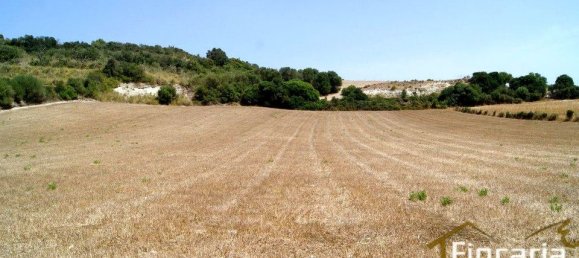 Grundstück in Manacor, Spain, Nr. 176867 24