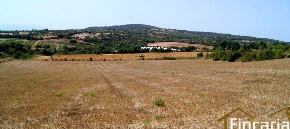 Grundstück in Manacor, Spain, Nr. 176867 14