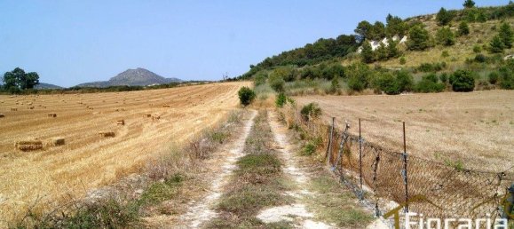 Grundstück in Manacor, Spain, Nr. 176867 25